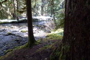 The Sol Duc River above the falls now filled with flow from the melting snows